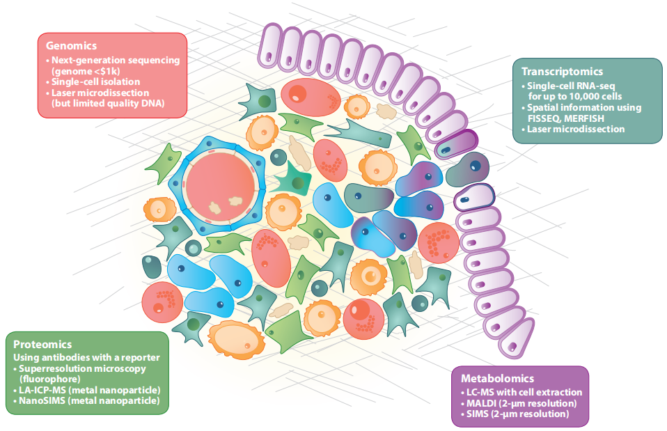 空间代谢组技术示意图